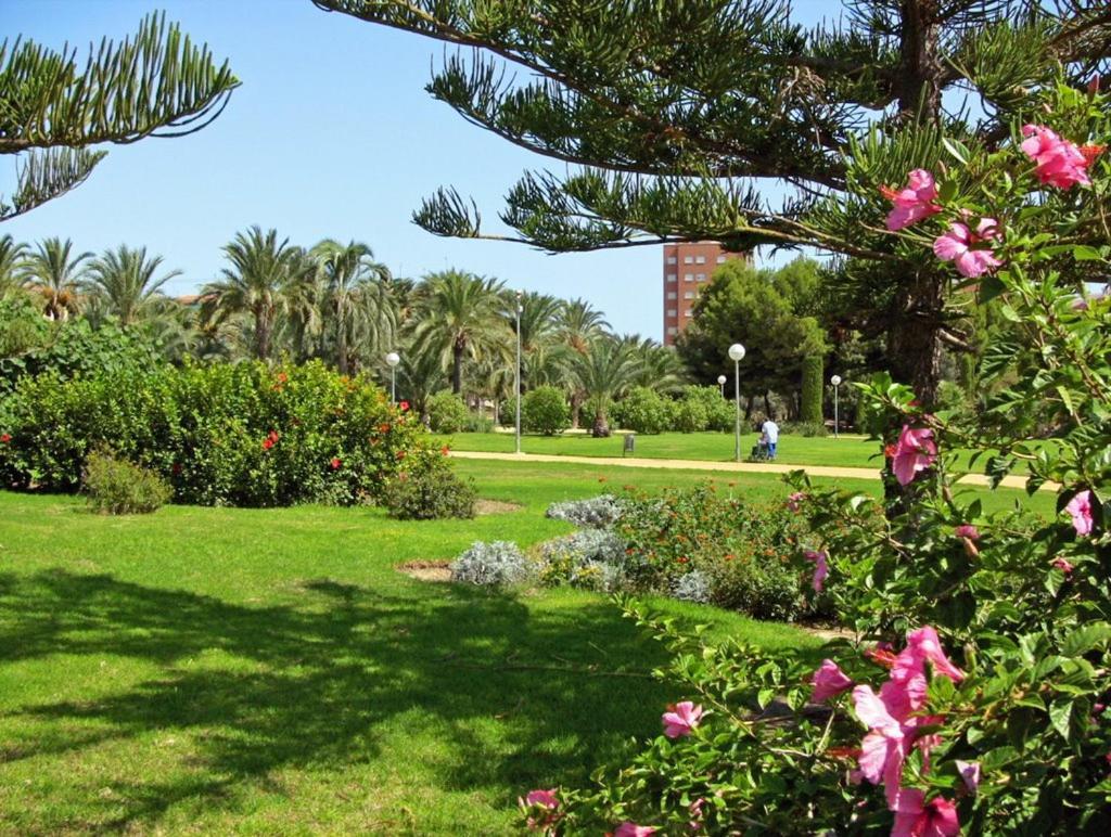 30-3- Бюджетная Комната В Квартире Для 2 Человека, Alicante Apartment ภายนอก รูปภาพ
